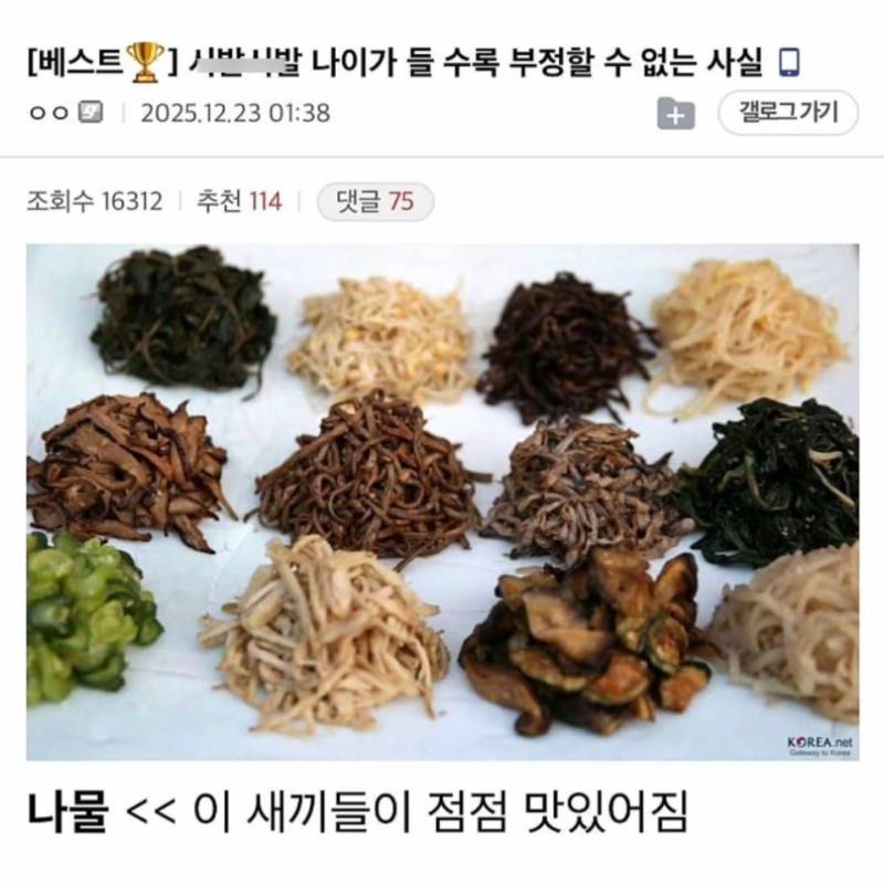 [잡담] 20 중반부터 들어와바 이거 동으ㅣ해? | 인스티즈