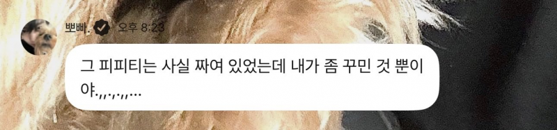 스무살에 하고 싶은 거 피피티로 만들어서 스탭 앞에서 발표한 아이돌 | 인스티즈
