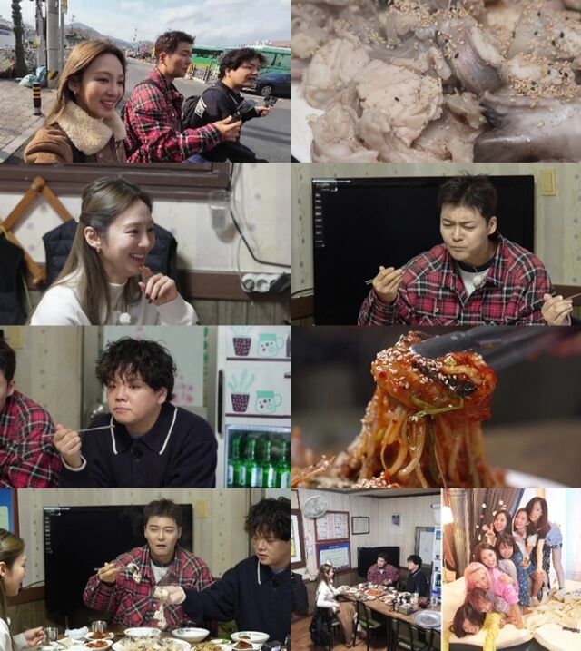 [잡담] 소녀시대 효연 "비혼 NO, 내 꿈은 다산…외국인 남편도 OK" 결혼관 고백 [전현무계획3] | 인스티즈