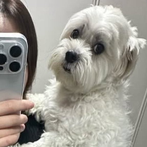 [잡담] 양정원네 강아지 진짜 거대함 말티즌데 | 인스티즈