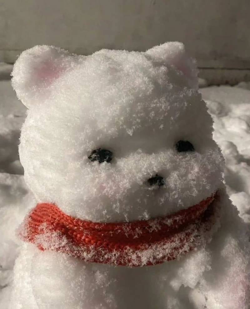 곰돌이 눈싸람 | 인스티즈