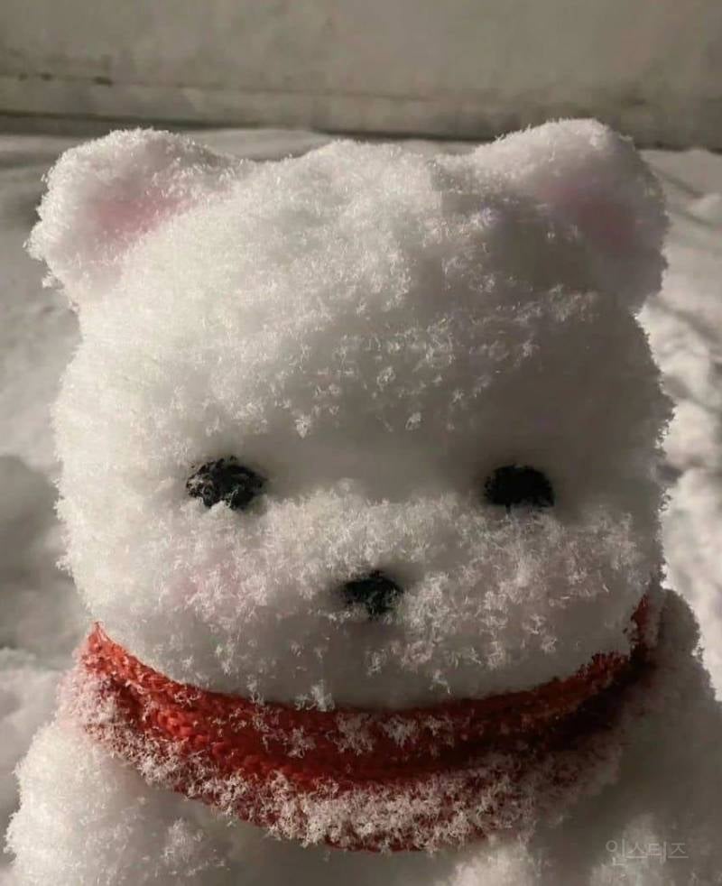 곰돌이 눈싸람 | 인스티즈