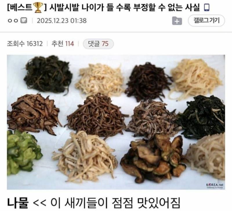 [잡담] 나이가 들수록 부정할 수 없는 사실 | 인스티즈
