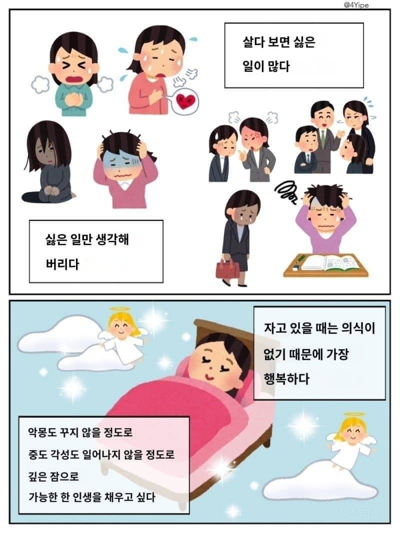 요즘 많이 늘어났다는 케이스 젊은층들 | 인스티즈