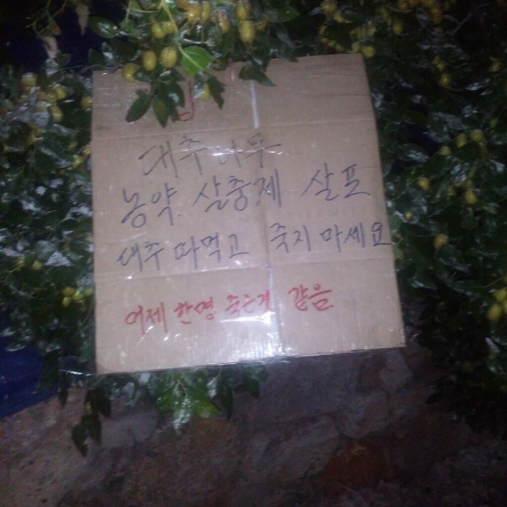 커피눌렀는디 비타파워 나오면 기계는 죽소 | 인스티즈