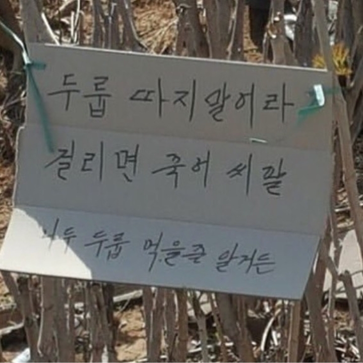 커피눌렀는디 비타파워 나오면 기계는 죽소 | 인스티즈