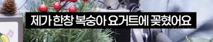 연예인 목격담이 거짓인 줄 알았던 아이돌 | 인스티즈