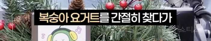 연예인 목격담이 거짓인 줄 알았던 아이돌 | 인스티즈