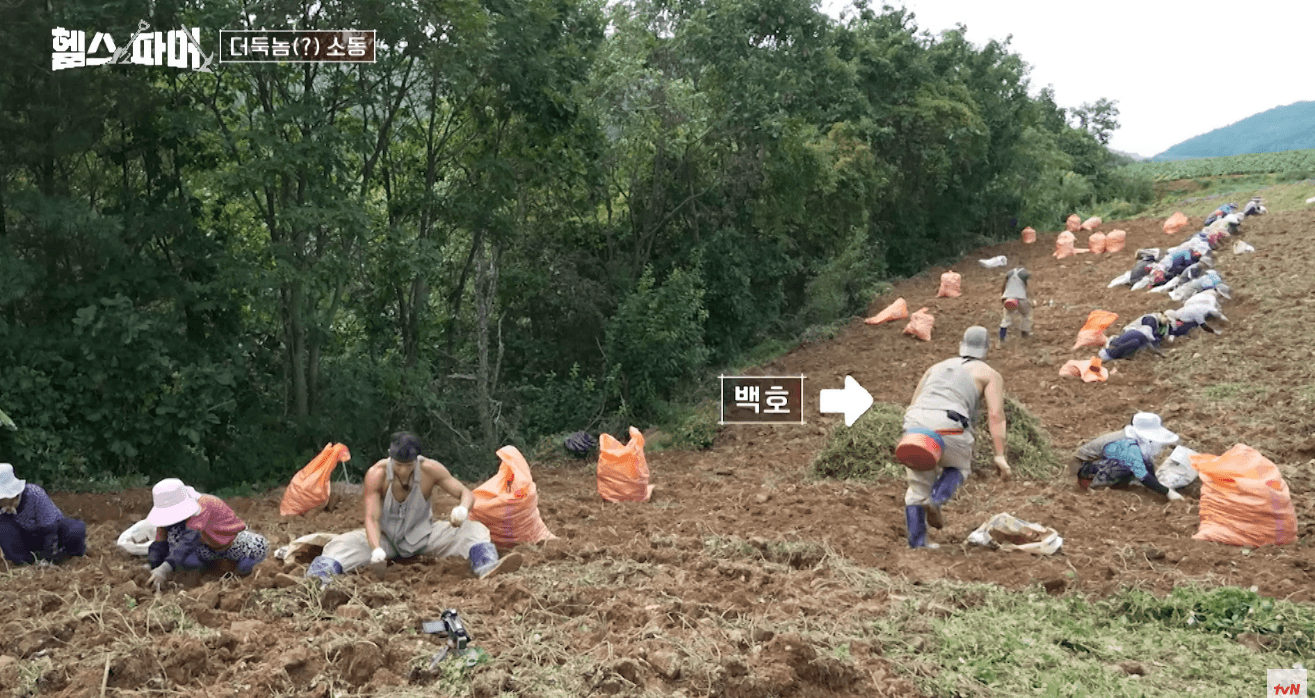 추성훈한테 도둑질 걸린 백호ㅋㅋㅋㅋ | 인스티즈