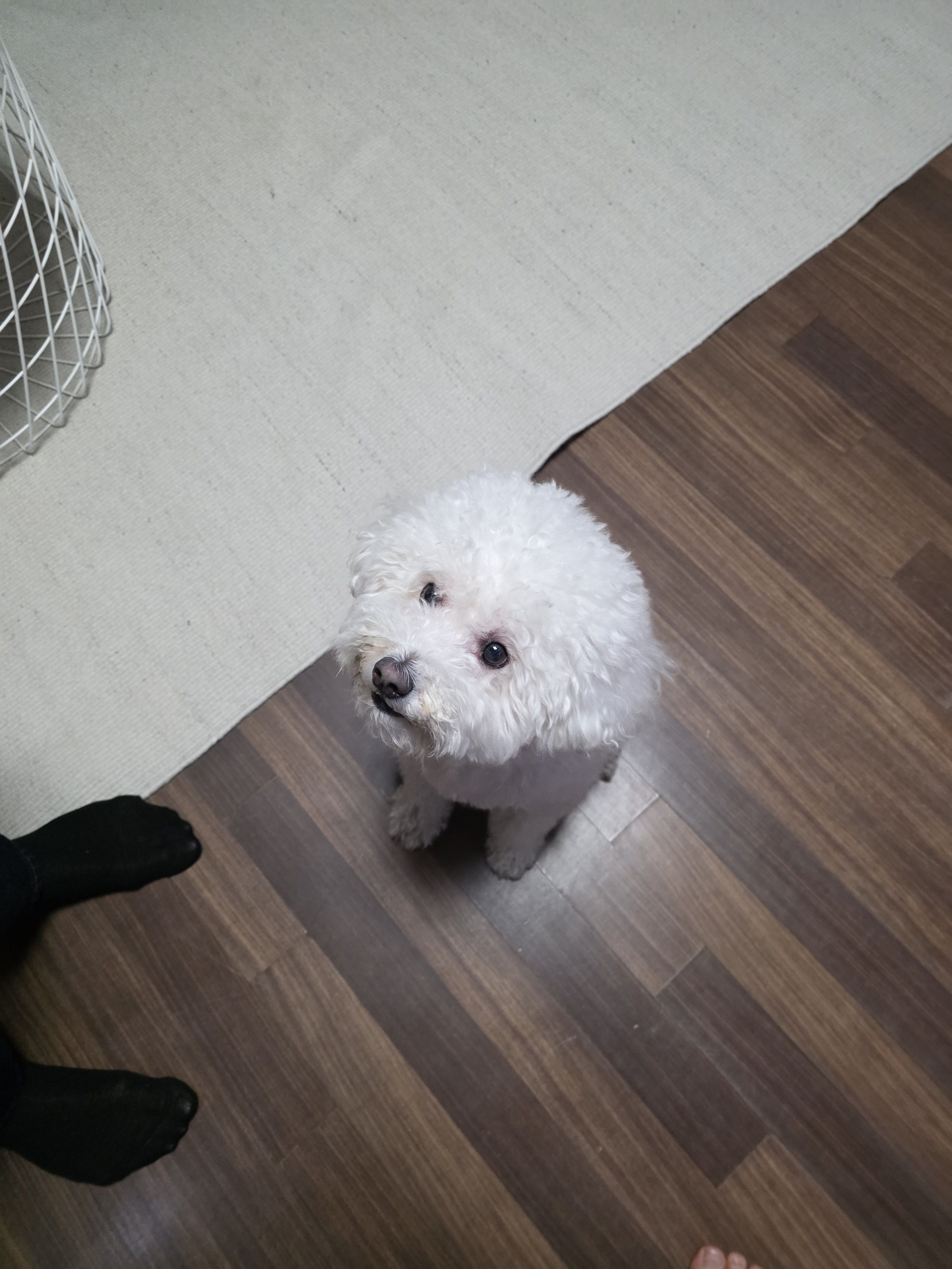 [잡담] 은석이 버블 사진은 ㄹㅇ 보고용이다ㅋㅋㅋ | 인스티즈