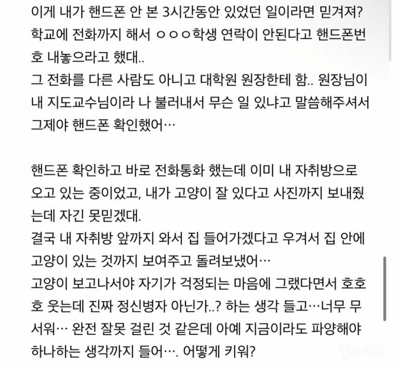 논란되고 있는 고양이 입양자 살해협박 사건 | 인스티즈