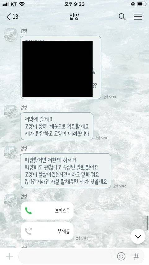 논란되고 있는 고양이 입양자 살해협박 사건 | 인스티즈