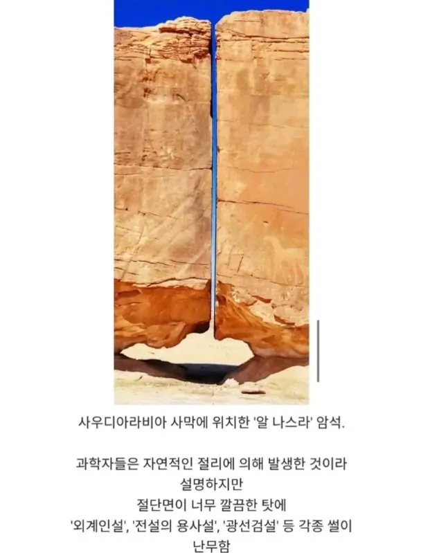 과학자들이 사실을 알려줘도 안 믿음ㅋㅋ | 인스티즈