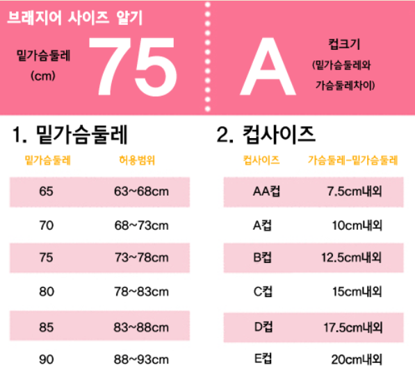 [잡담] 나 이거 몇컵인거지?? (가슴) | 인스티즈
