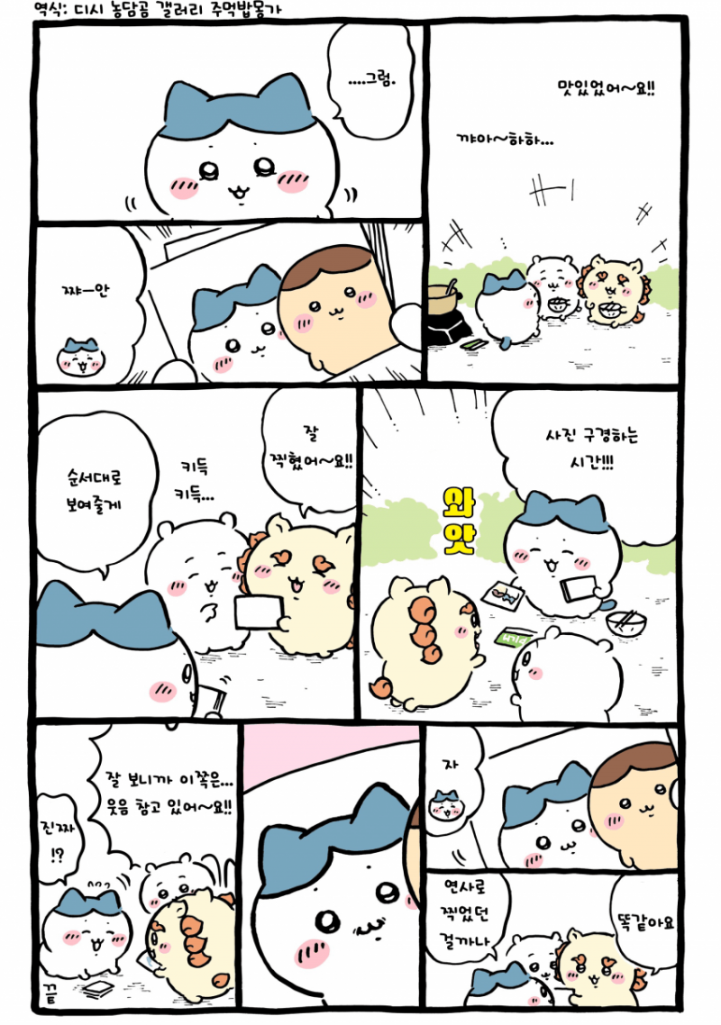 [잡담] 사진 구경 [최신화] | 인스티즈