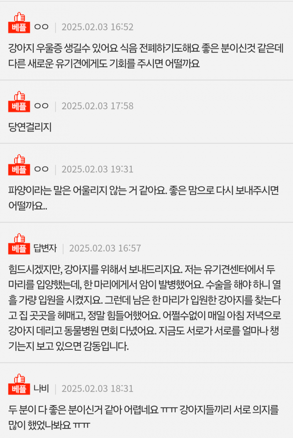 혹시 강아지도 우울증에 걸릴 수 있나요? | 인스티즈