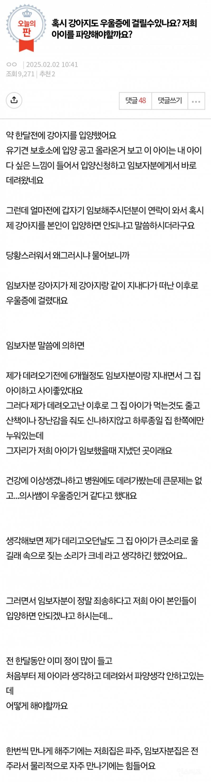 혹시 강아지도 우울증에 걸릴 수 있나요? | 인스티즈