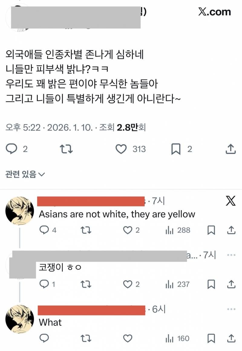 서양인들 맞은 적 없어서 맷집 약하다는 거 𝙅𝙊𝙉𝙉𝘼웃기네 | 인스티즈