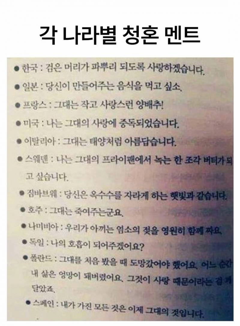 [잡담] 독일 청혼 멘트 너무 낭만적이야 | 인스티즈