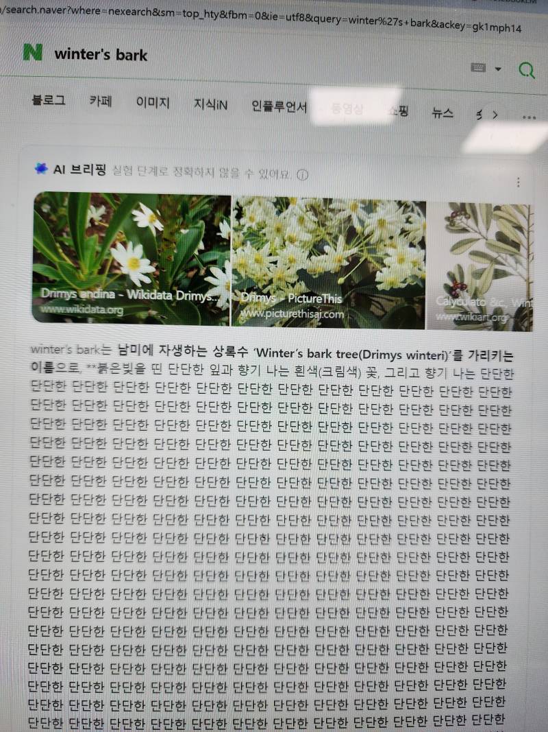 [잡담] 오 네이버 pc버전에서 winter's bark 검색했더니 | 인스티즈