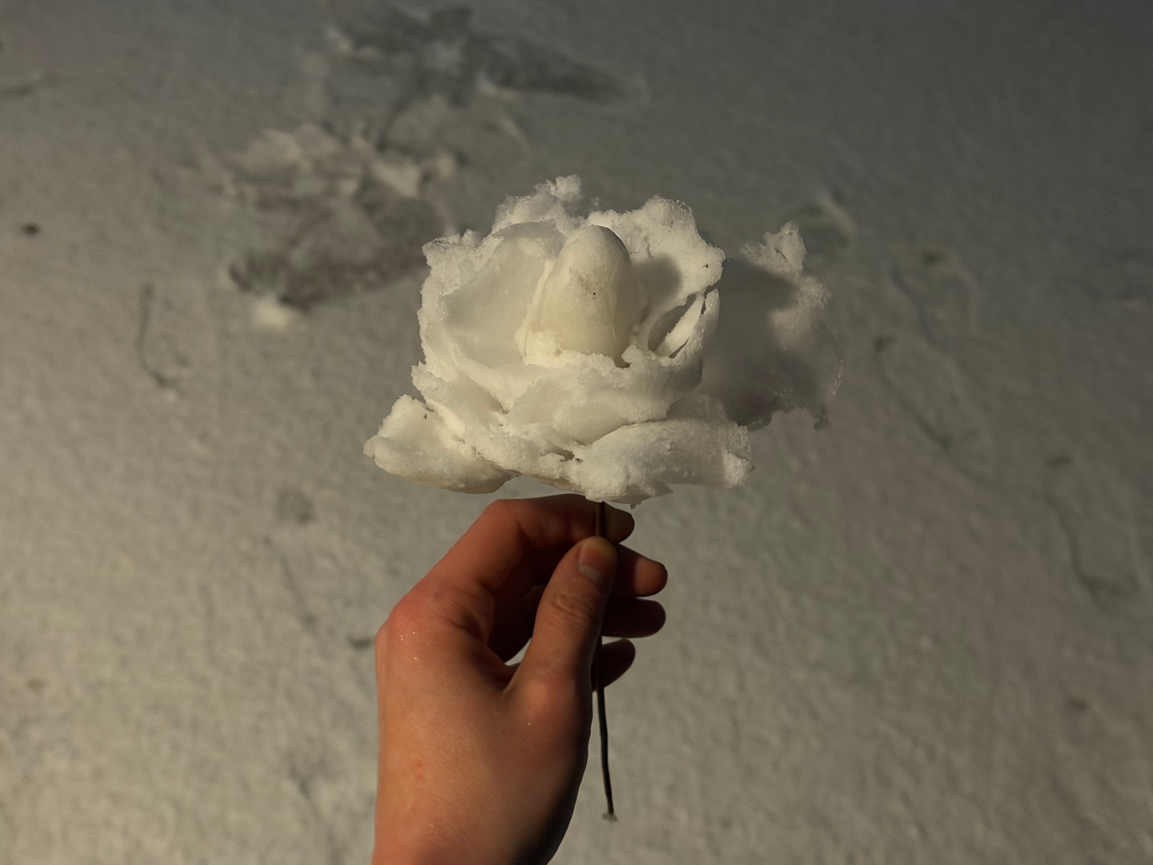 [잡담] 성한빈 플챗 미쳤다... | 인스티즈
