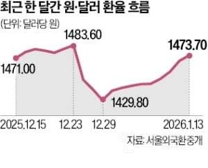 기업 팔만 꺾는 정부…환율은 다시 1470원대 | 인스티즈