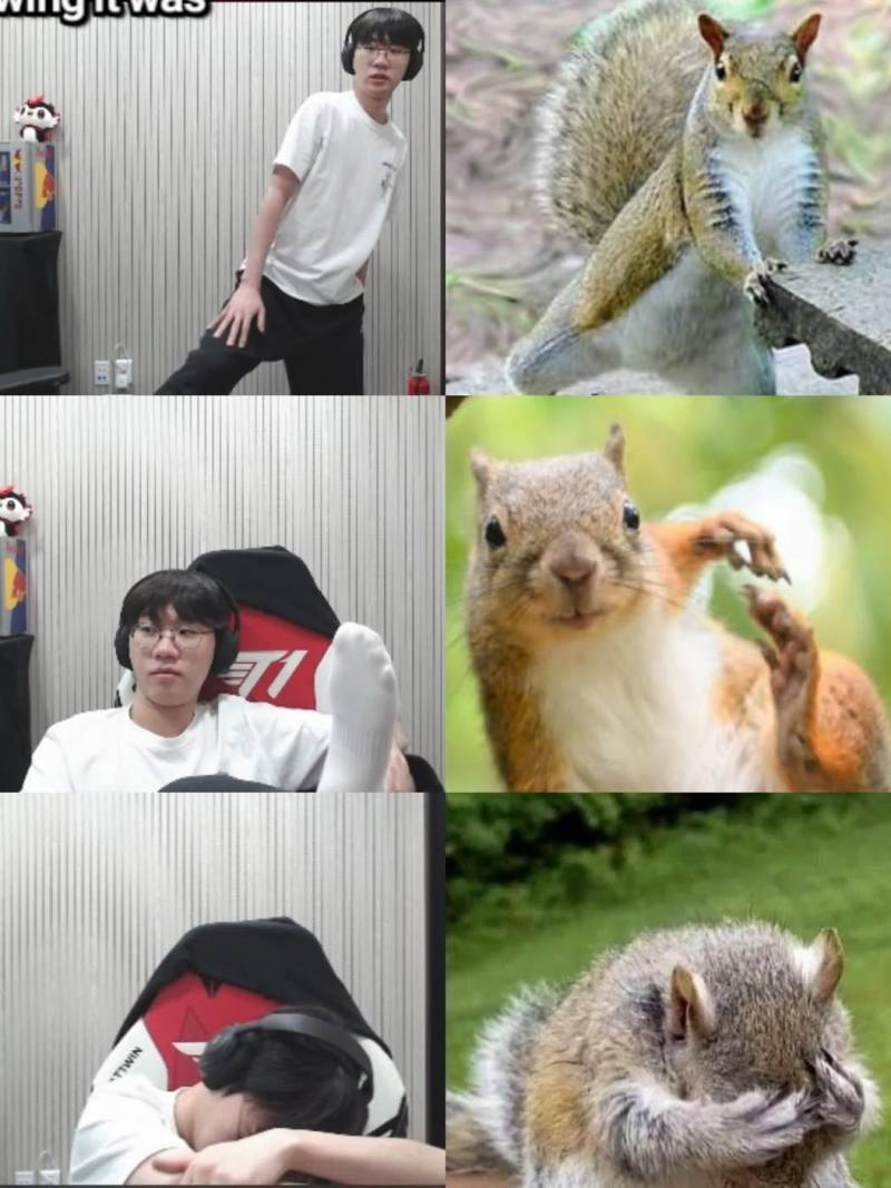 [잡담] 람쥐랑 똑닮았넹 | 인스티즈