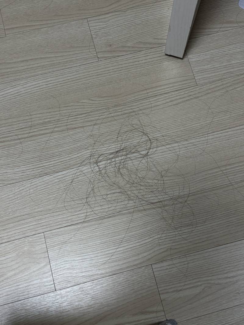 [잡담] 긴머리익들아 너네도 이만큼씩 머리빠져? | 인스티즈
