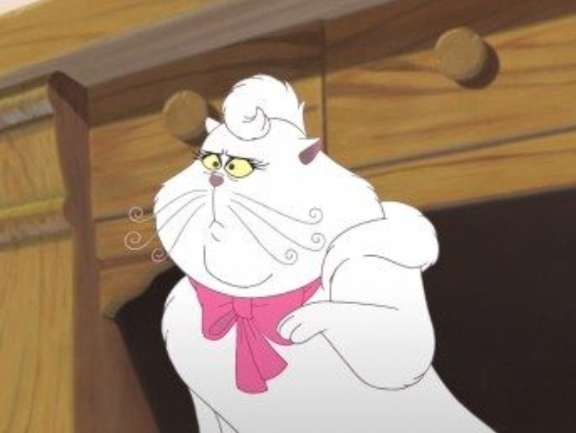 [잡담] 윤남노 닮은 고양이 김풍 닮은 생쥐 사진 | 인스티즈