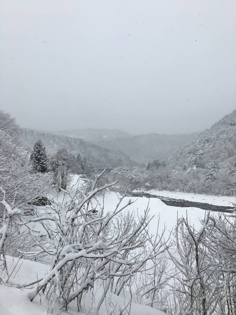 [잡담] 눈 보러 삿포로 말고 나고야 근교 가봐 제발 | 인스티즈