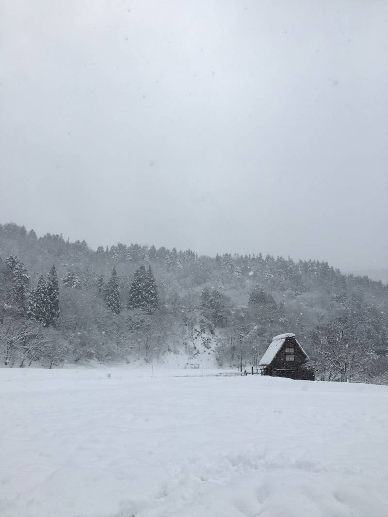 [잡담] 눈 보러 삿포로 말고 나고야 근교 가봐 제발 | 인스티즈
