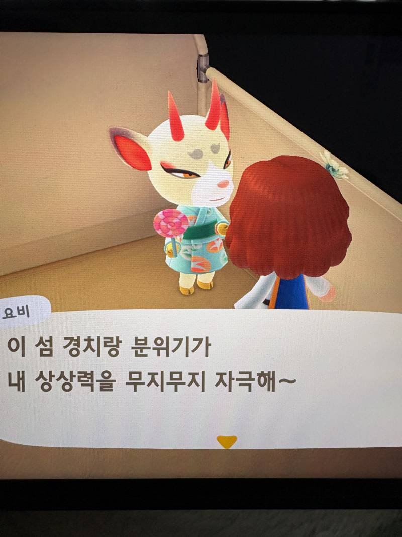 [잡담] 동숲 인기주민이 캠핑장으로 왔어 | 인스티즈