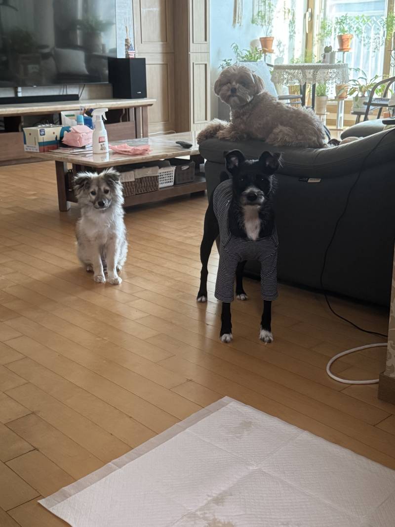 [잡담] 너무 행복한 구조다 | 인스티즈