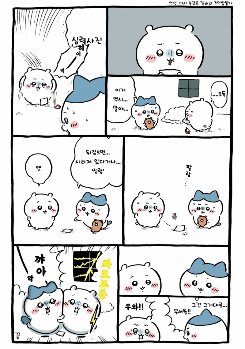[잡담] 심령사진 때문에 밤 샌 치이+하치 🫩 | 인스티즈