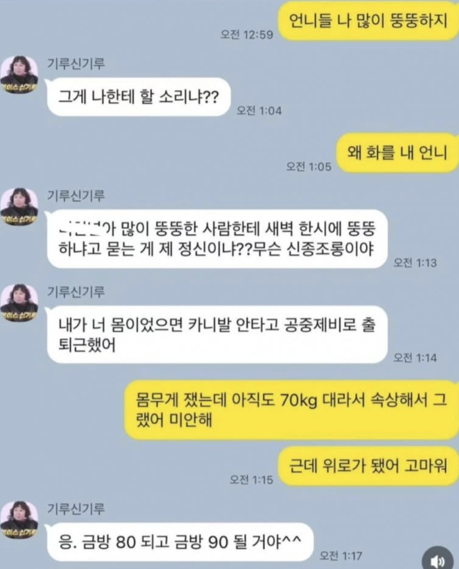 [잡담] 신기루한테 자기 뚱뚱하냐고 물어본 지인 카톡이라는데 | 인스티즈