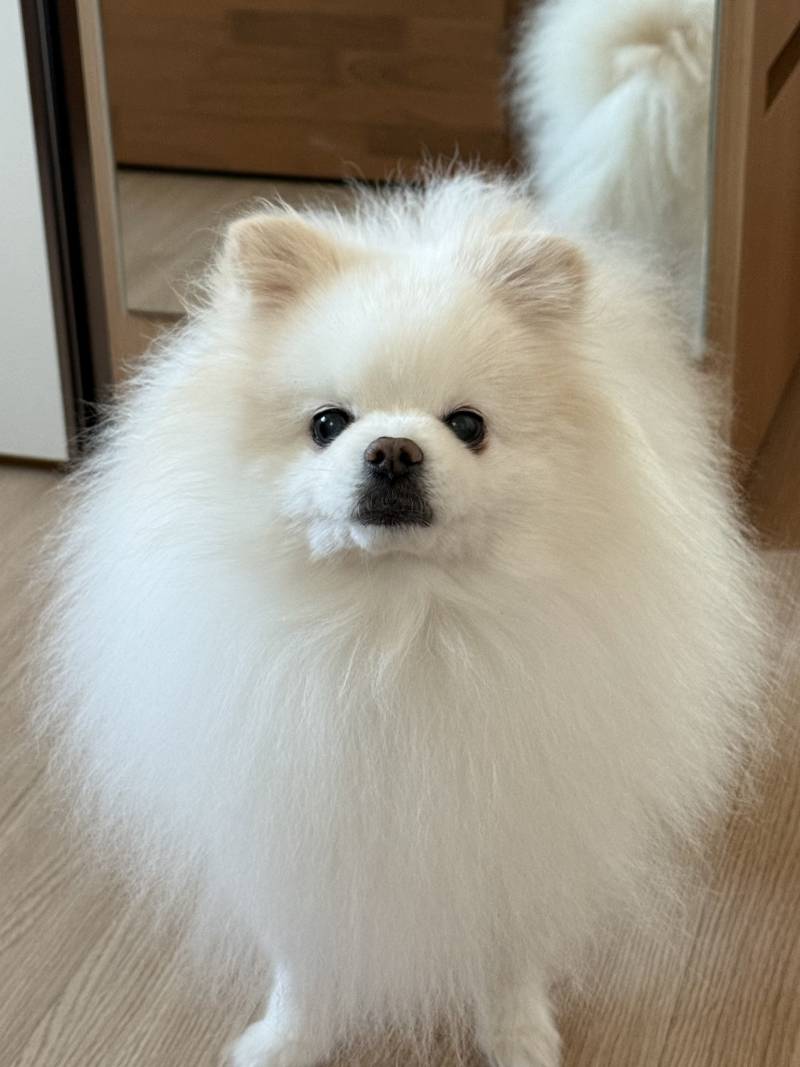 [잡담] 울애기 몇살같애??? | 인스티즈