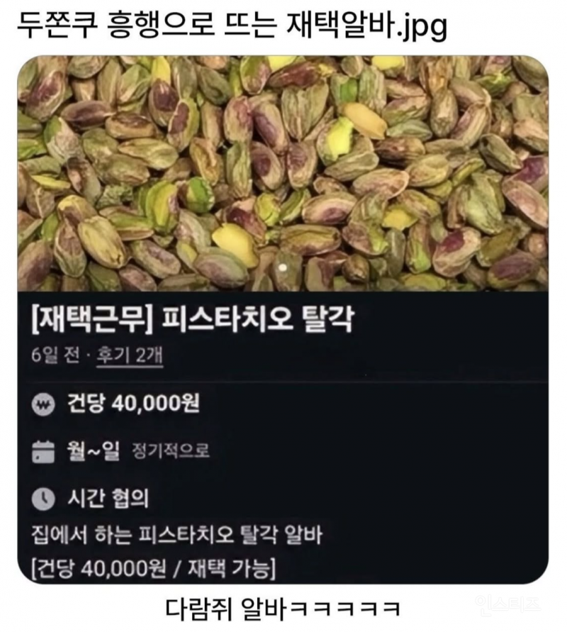 두쫀쿠 흥행으로 뜨는 재택알바 | 인스티즈