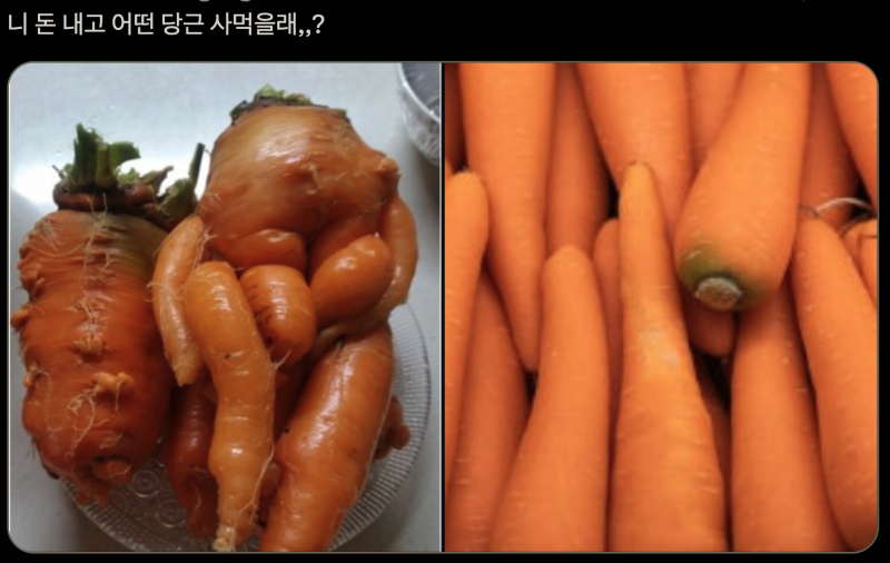 [잡담] 세상은 외모지상주의인 이유 | 인스티즈