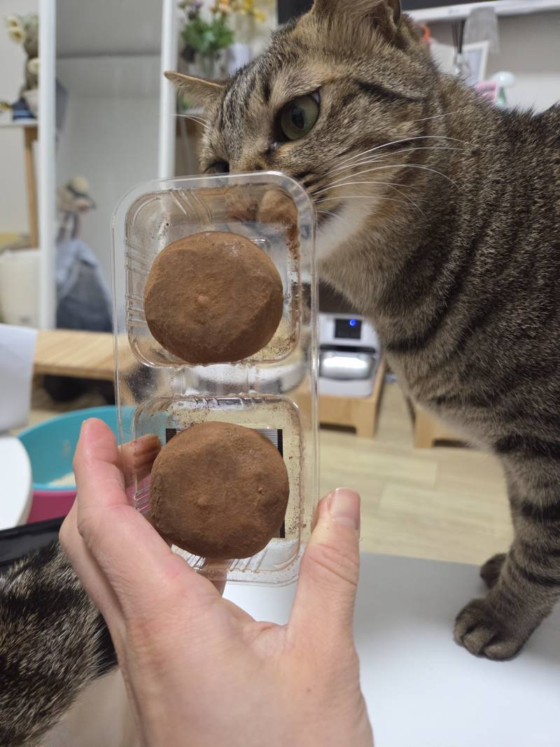 [잡담] 와 씨유 카다이프찰떡 거어업나 맛있어 | 인스티즈