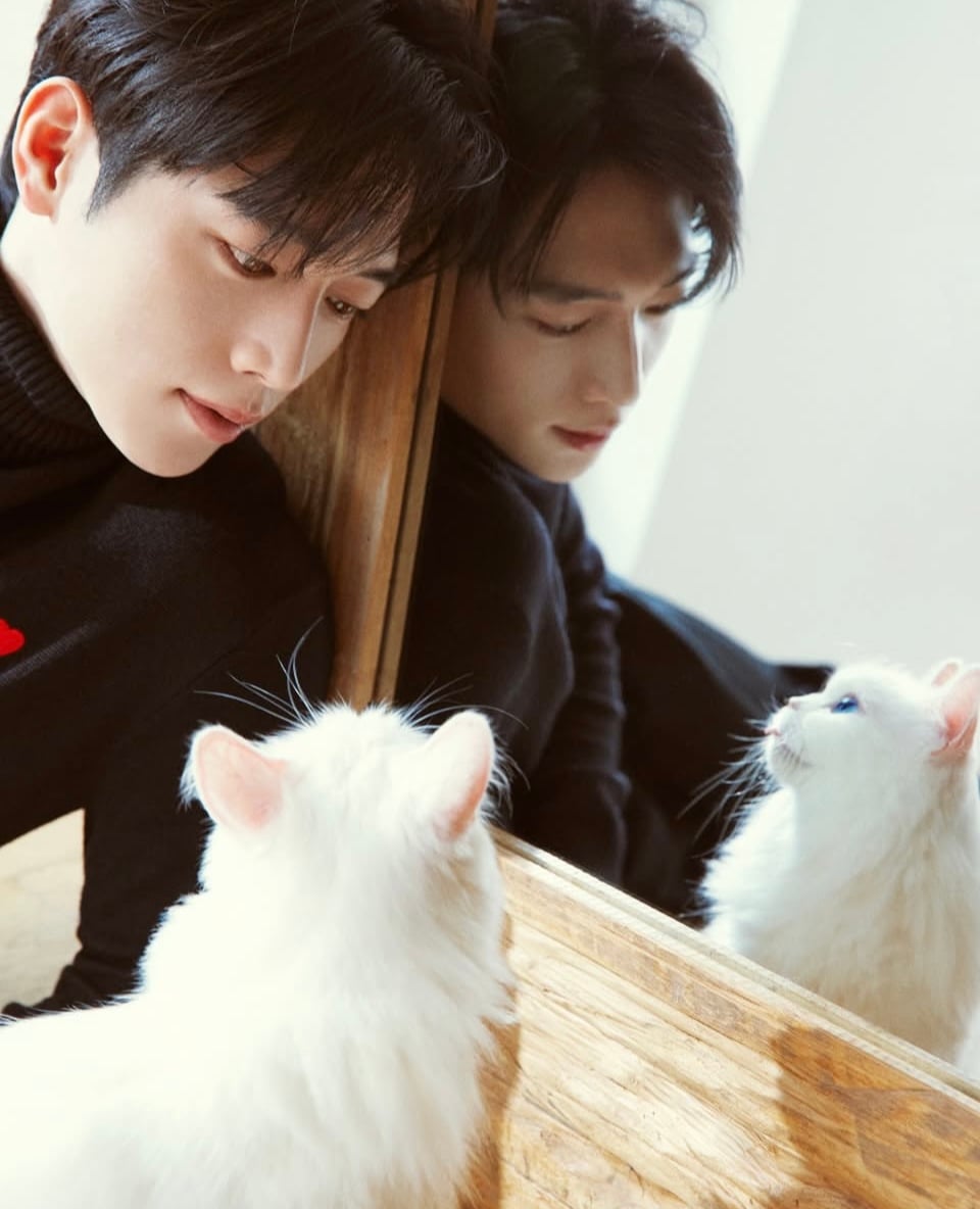 [잡담] 요즘 서강준이 너무 좋음 | 인스티즈