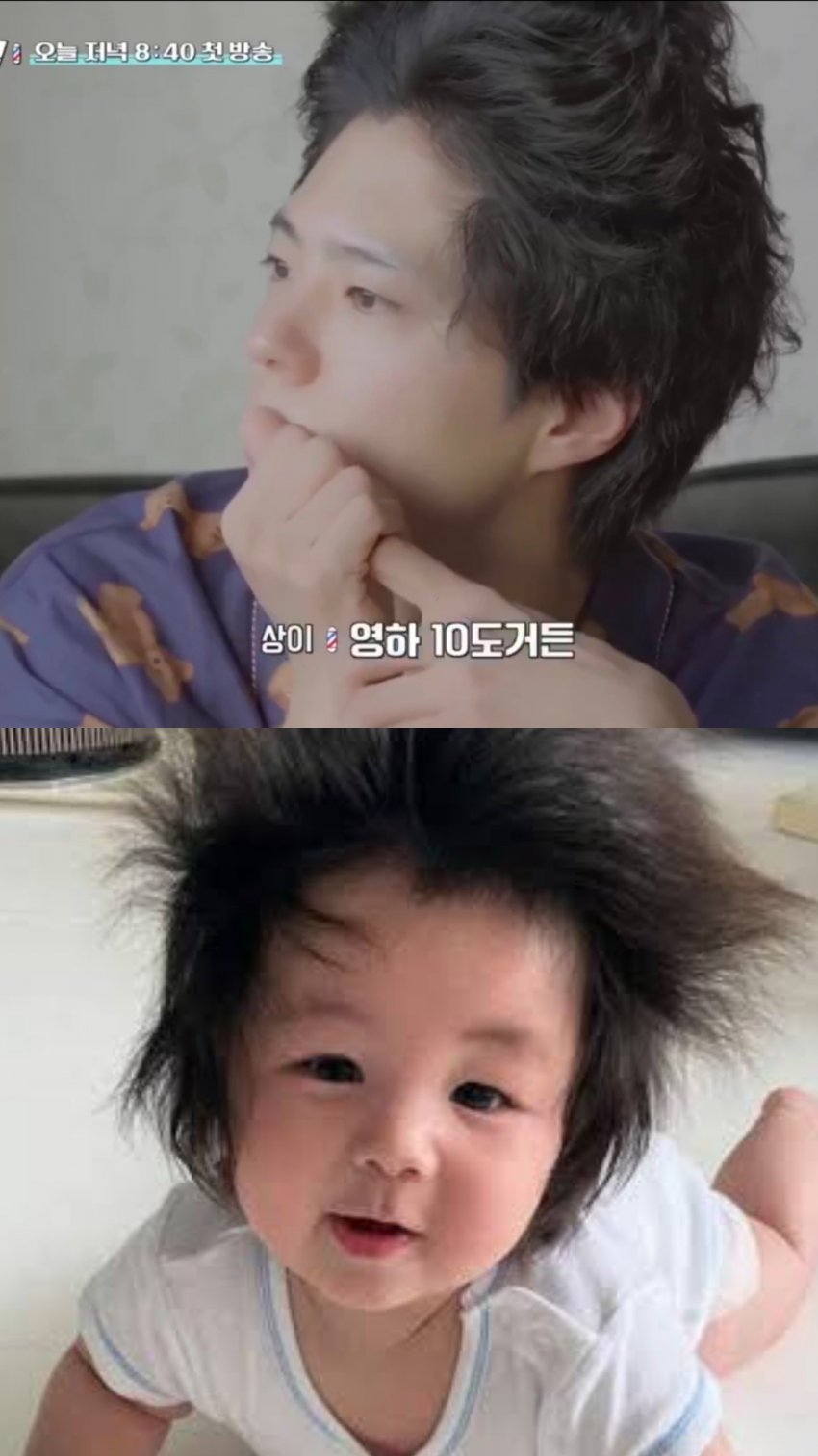 [잡담] 심하루 박보검 헤어 | 인스티즈