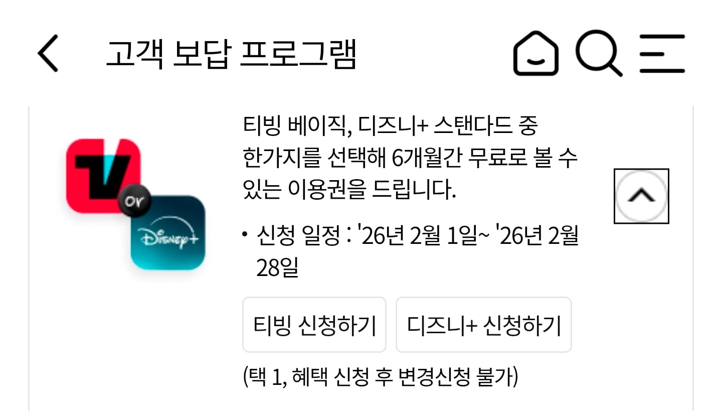 [잡담] 아 티빙할까 디플할까.. | 인스티즈