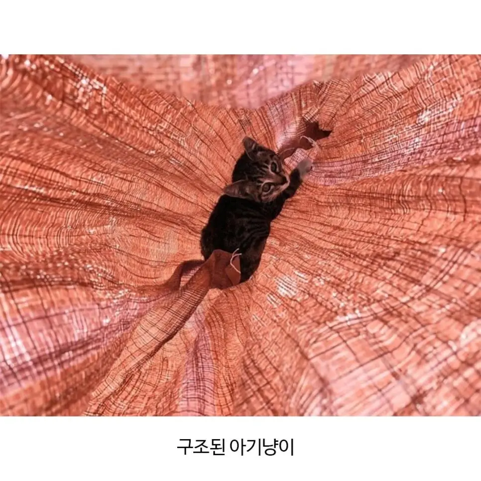 [잡담] 뮤지컬 공연중 소음 논란 사과문과 범인사진 공개하라는 댓글.jpg | 인스티즈