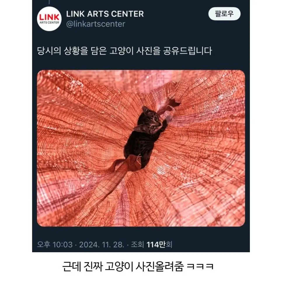 [잡담] 뮤지컬 공연중 소음 논란 사과문과 범인사진 공개하라는 댓글.jpg | 인스티즈