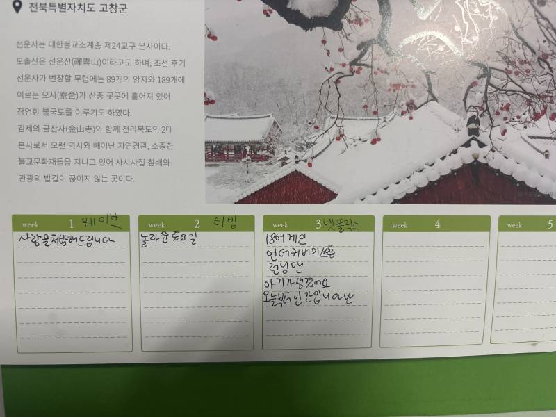 [잡담] 이정도면 오티티 많이 챙겨보는건가 | 인스티즈