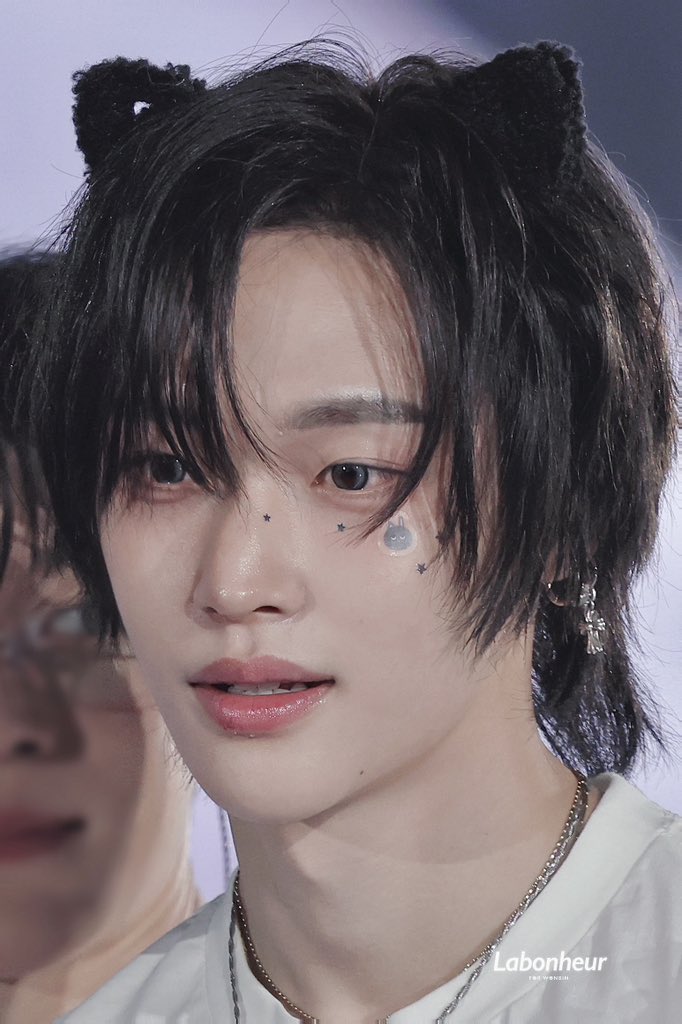 [잡담] 원빈이 고양이 귀 벌써 고화질 떴다 너무 예쁘다ㅠㅠㅠ | 인스티즈
