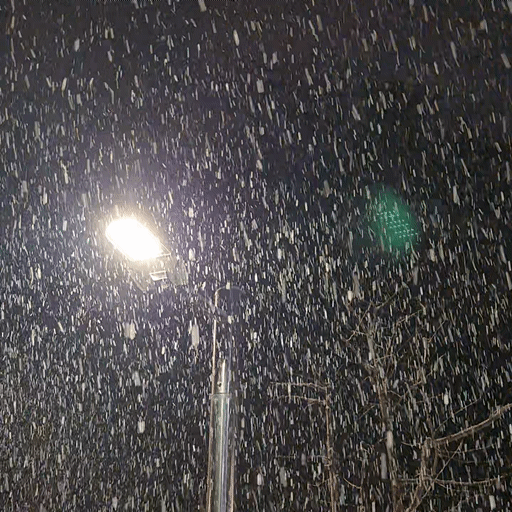 [잡담] 서울 눈 봐❄️ | 인스티즈