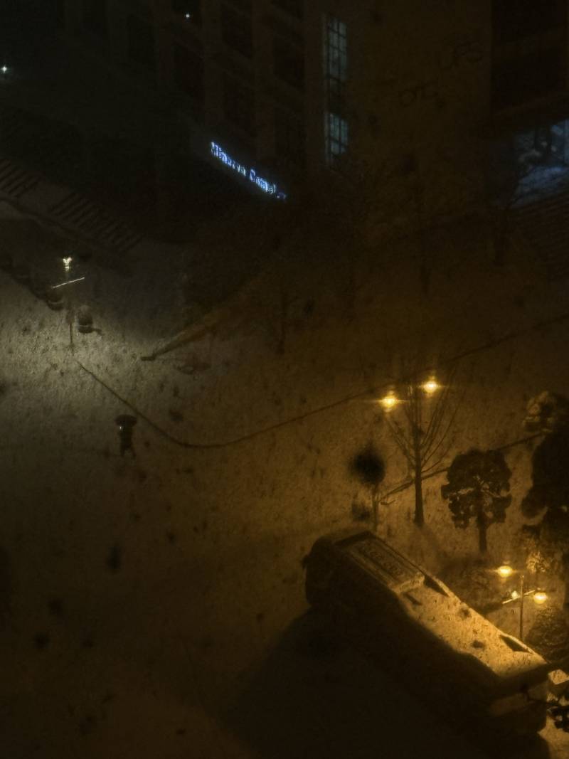 [잡담] 지금 눈 실화야???⛄️ | 인스티즈