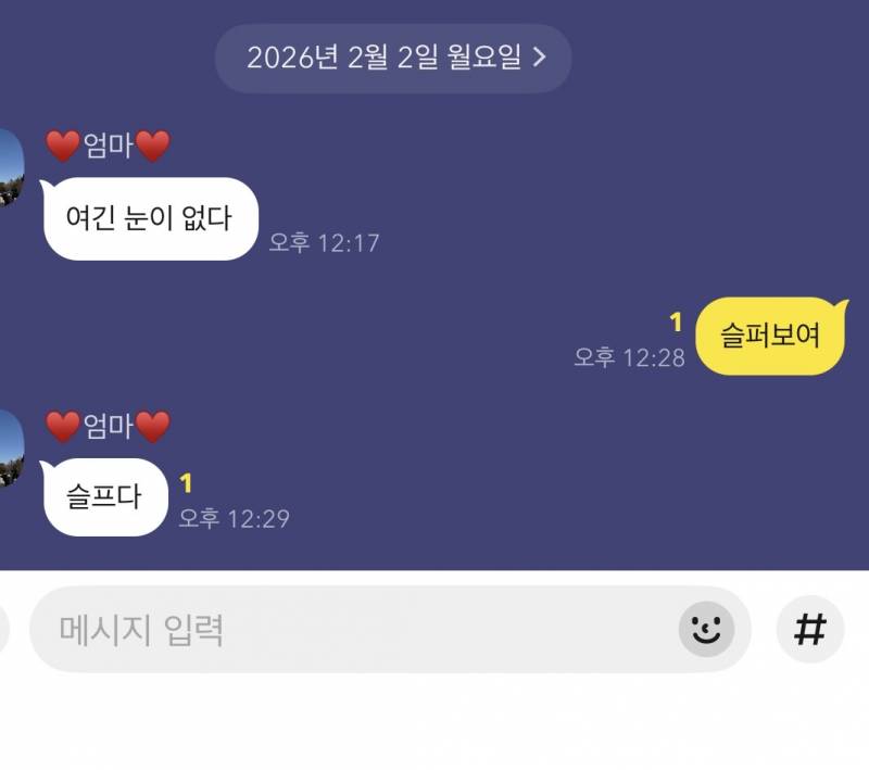 [잡담] 아니 울 엄마 ㅋㅋㅋㅋㅋㅋ 눈 진짜 좋아하는데 포항 사람이라서 눈을 못 봄...... 오늘 오전 내내 눈 없다는 말만 해 | 인스티즈