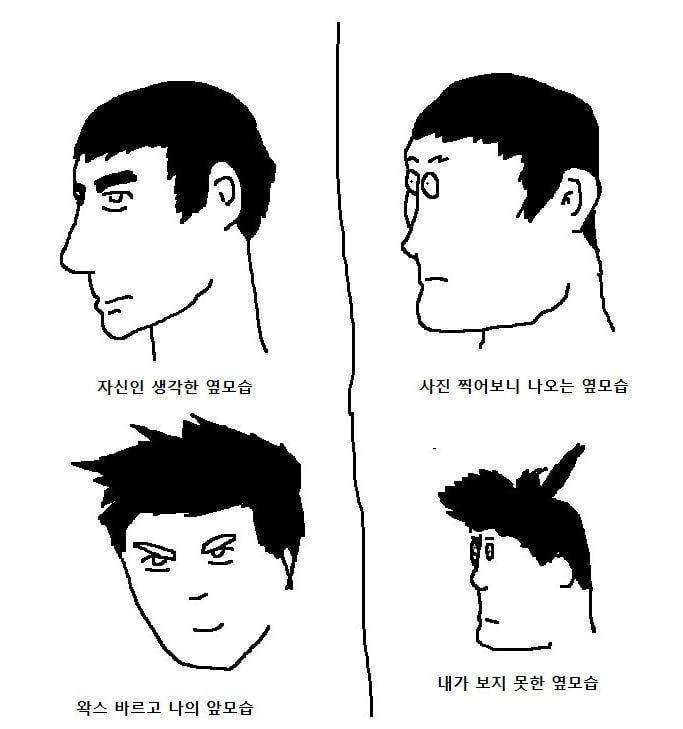 [잡담] 미인보고 예쁜지 모르겠다고 하는 사람들은 얼굴 골격을 무시하는듯 | 인스티즈